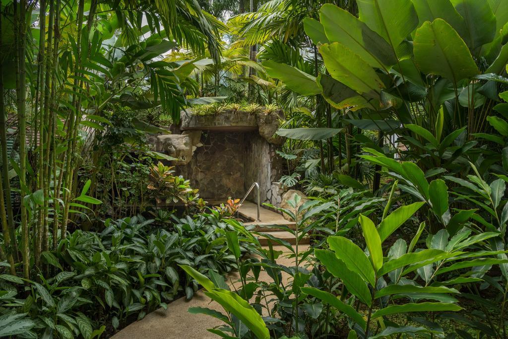 The Royal Corin Thermal Water & - Adults Only 5* La Fortuna